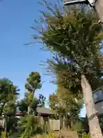 稲荷神社(東京都)