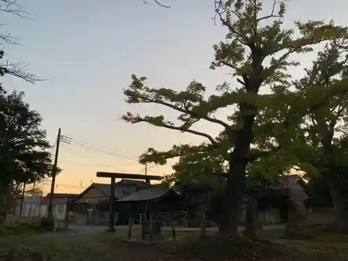 熊野神社の景色