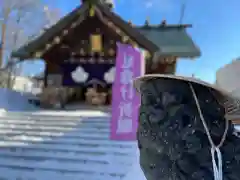 札幌諏訪神社の狛犬