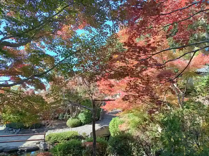 慈眼寺(大阪府)