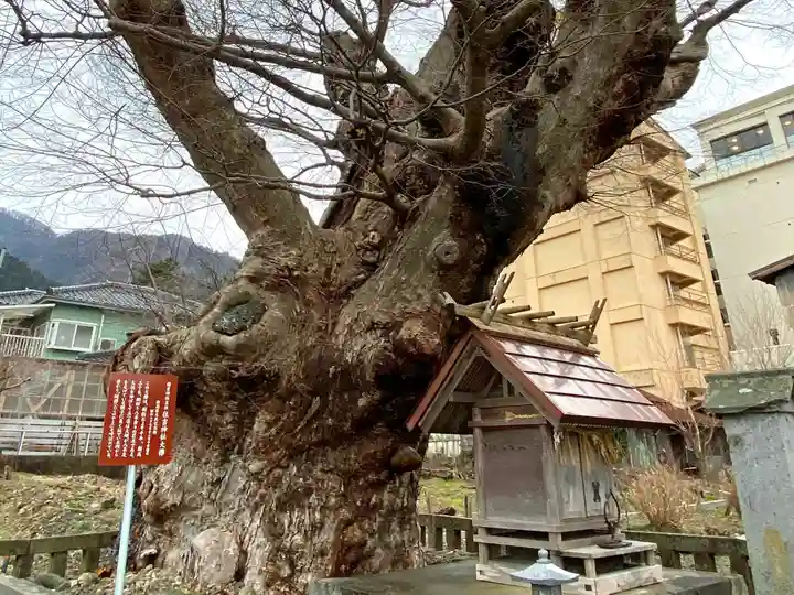 住吉神社(彌彦神社境外末社)のその他建物