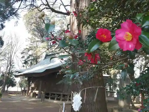 東蕗田天満社のその他建物