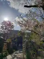 鳩森八幡神社のその他建物