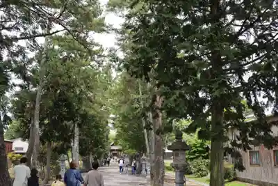 志那神社(滋賀県)