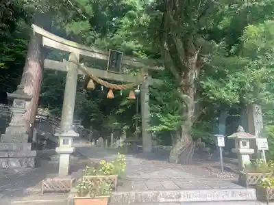 泉神社の鳥居