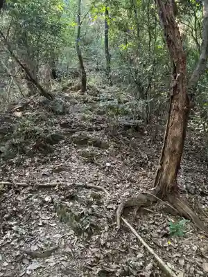 天一神社(徳島県)