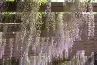 松尾神社(京都府)