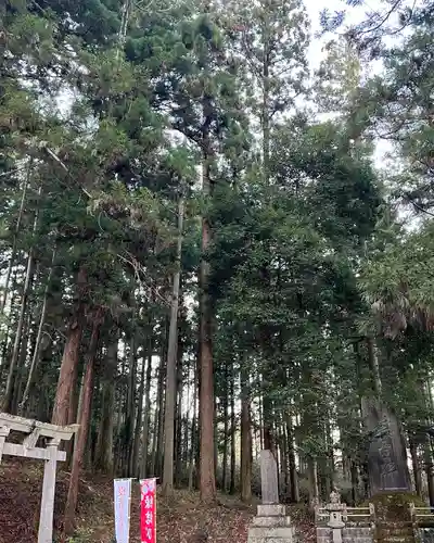 大宮温泉神社のその他建物