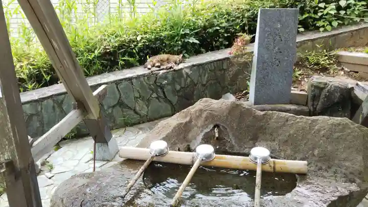 王子神社の動物