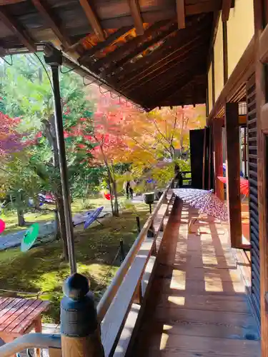勝林寺(京都府)
