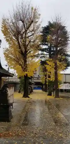 亀有香取神社のその他建物