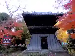 鑁阿寺の建物その他