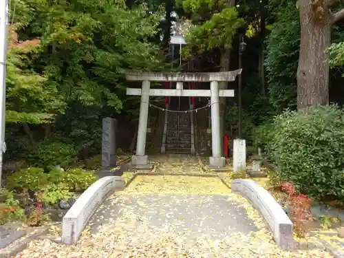 茅ヶ崎杉山神社の鳥居