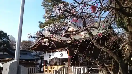 布多天神社の本殿・本堂
