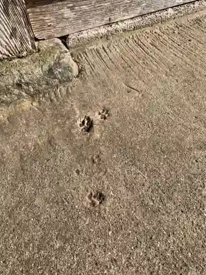 善行寺(千葉県)