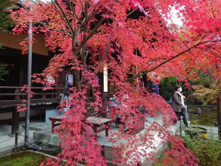 勝林寺(京都府)