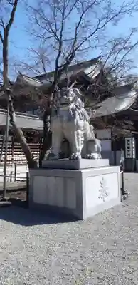 寒川神社の狛犬