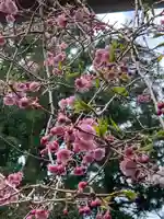 土津神社|こどもと出世の神さまの自然