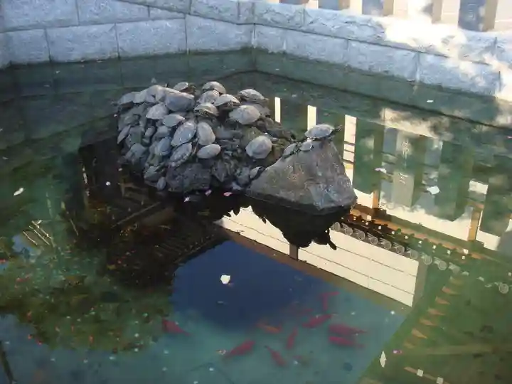 成田山新勝寺の動物