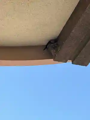 防府天満宮(山口県)