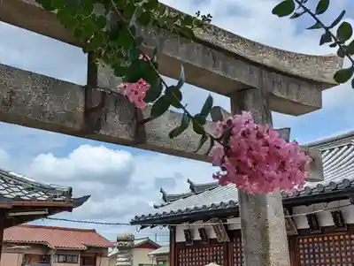 城興寺(京都府)