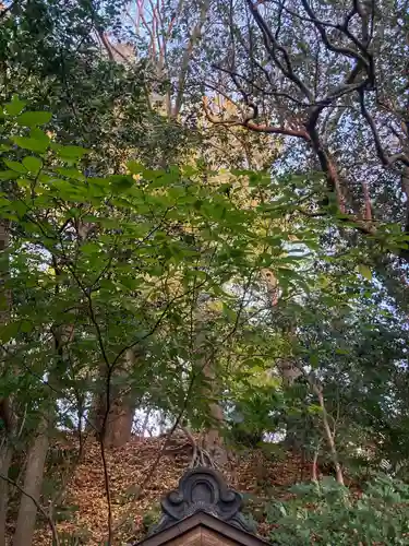 須磨稲荷大明神・和佐稲荷大明神(神奈川県)