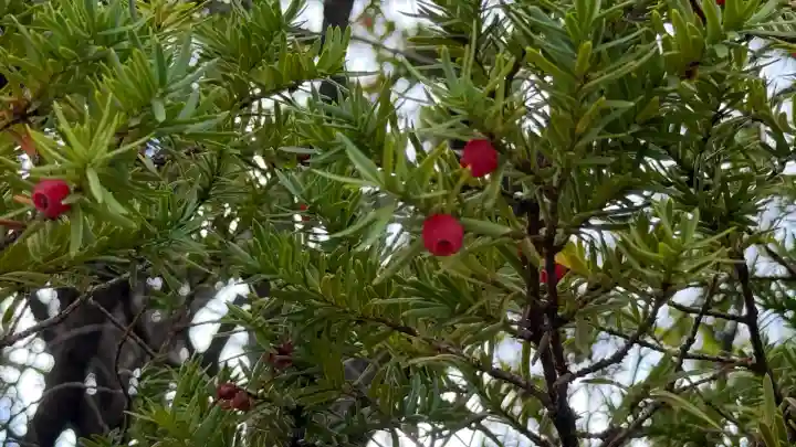 七重浜海津見神社(北海道)