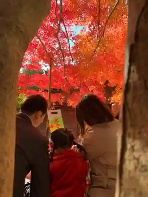 滑川神社 - 仕事と子どもの守り神(福島県)