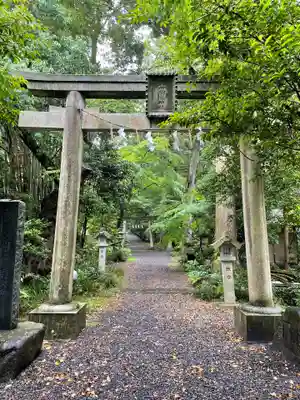 五所駒瀧神社の鳥居