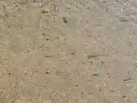 加茂神社(愛媛県)