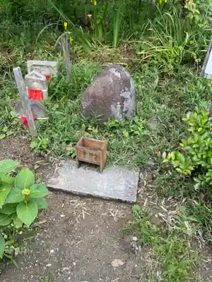 般若寺 ❁﻿コスモス寺❁(奈良県)