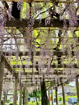 日吉神社(東京都)