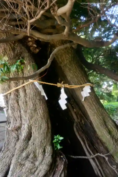九重神社(埼玉県)