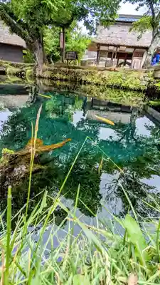 新倉富士浅間神社の周辺