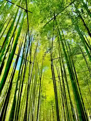 報国寺(神奈川県)