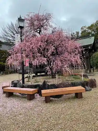 岡崎天満宮の庭園