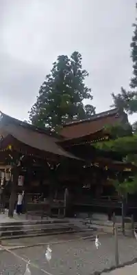 多賀大社の本殿・本堂