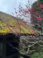 大藏辯財天(神奈川県)