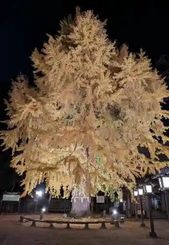 今宮神社(栃木県)