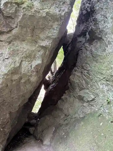 韓竈神社の自然