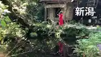 龍ヶ窪神社(新潟県)
