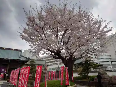 宗保院(東京都)