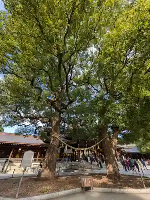 明治神宮(東京都)