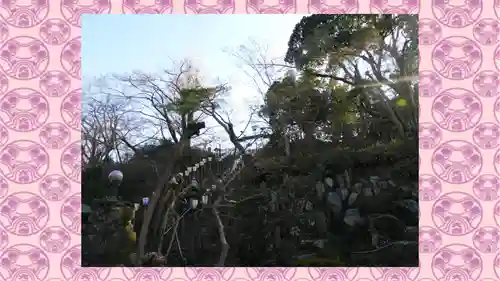 達磨寺(群馬県)