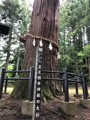 飯縄神社 里宮（皇足穂命神社）の自然