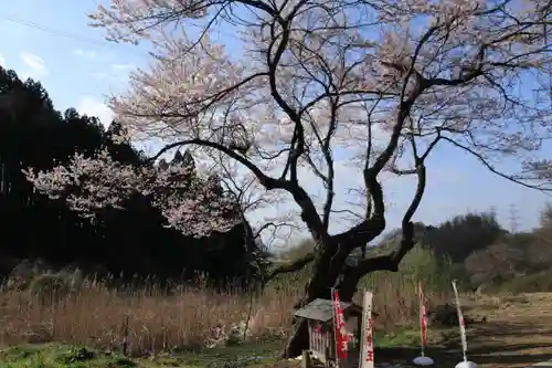 宇賀神さまの景色