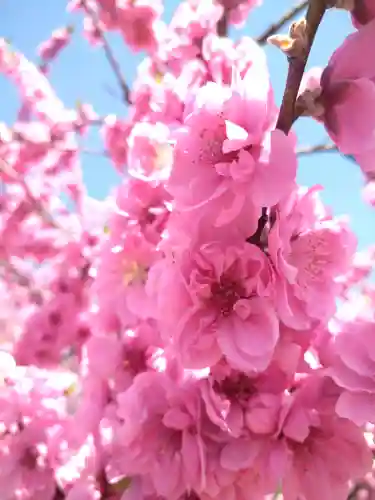 巳徳神社の周辺