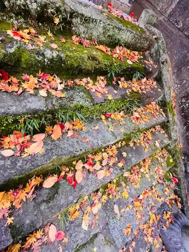 紅葉八幡宮(福岡県)