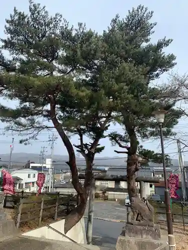 久慈大神宮の自然