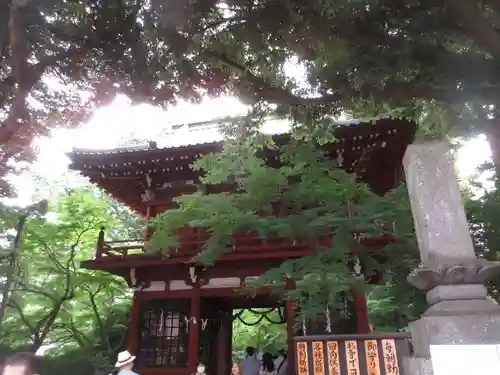 本土寺の山門